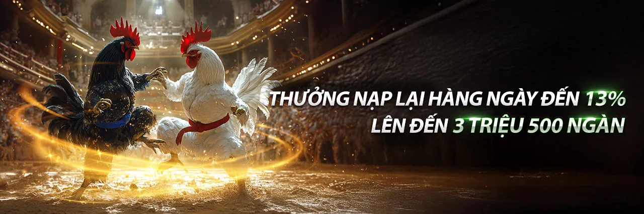 Chương trình VIP hh88 đẳng cấp